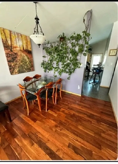 Room available for rent Image# 1