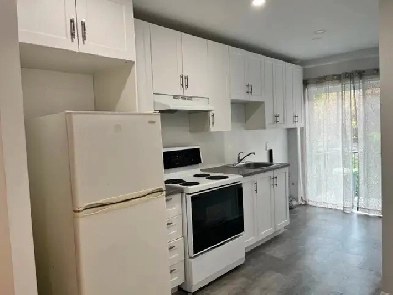 Montreal Rosemont 1 bedroom - 3 et demi apt Image# 1