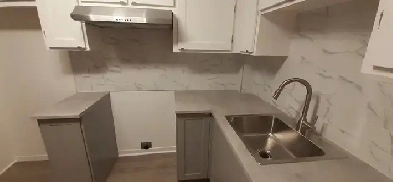 4 1/2 APPARTEMENT POUR LOUER à MONTRÉAL Image# 1