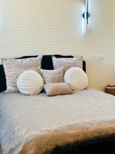 Furnished Room for Rent – Downtown Calgary (733-14 Ave SW)$1100