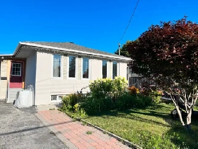 Basement room for rent Image# 1