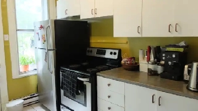 Petite Italie 3 1/2 pièces doubles Métro Beaubien Image# 1