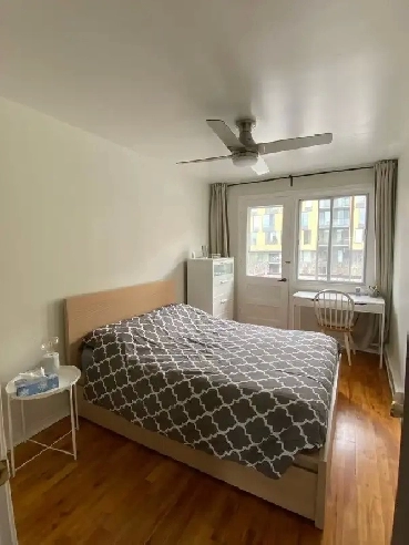 2 x 3 1/2, Métro Rosemont, Rénové, 1er nov. flex Image# 1