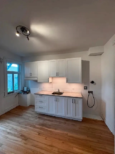 Superbe 4 1/2  au cœur du plateau - rue Laurier et St-Hubert Image# 1