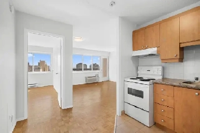 A BRIGHT 1 Bedroom & 1 Bathroom, Montreal DT,  available NOW Image# 1