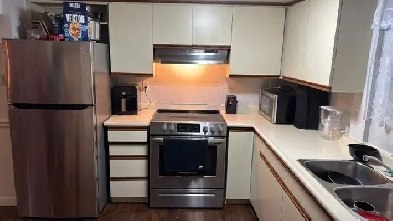 Looking International Students to rent my basement Image# 1