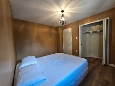 Private room for rent Image# 3