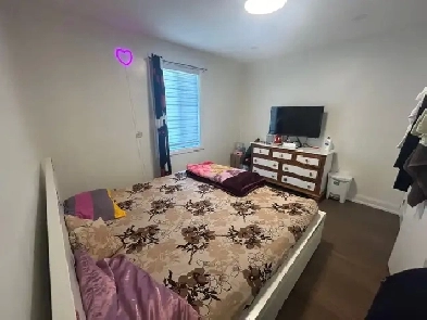 Masteroom for Rent Image# 1