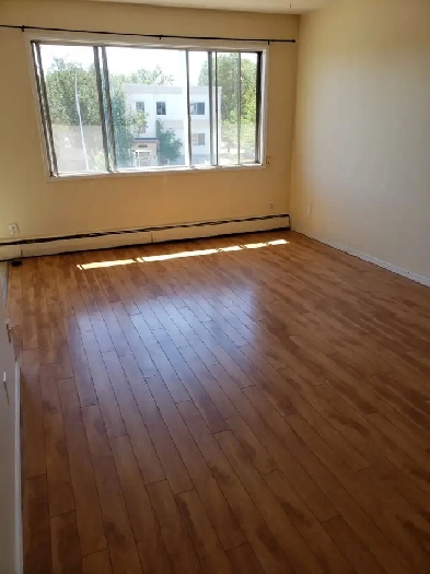 OCTOBER 1/2 Rent! A nice and cozy 1-bedroom suite on Whyte ave. Image# 1