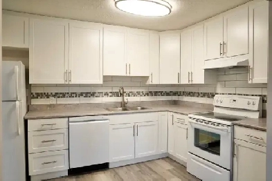 Modern Newly Renovated 2 Bedroom Apt - Oct FREE & Nov 1/2 RENT! Image# 1