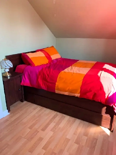Chambre à louer dans ma maison Image# 3