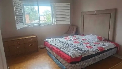 Private Room for rent - upper floor Image# 1