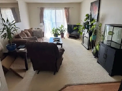 SPACIOUS 2 BR APARTMENT FOR 55 Image# 1