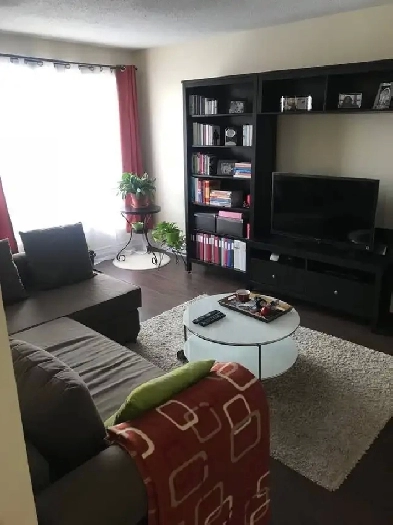 Appartement 2 chambre 4 1/2 à louer Image# 1