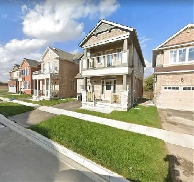 Legal Walkout Basement in Brampton- Available Oct 1st Image# 1