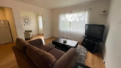 ✨ Perfect for Couples   a Small Pet – 1BR   Den Image# 7