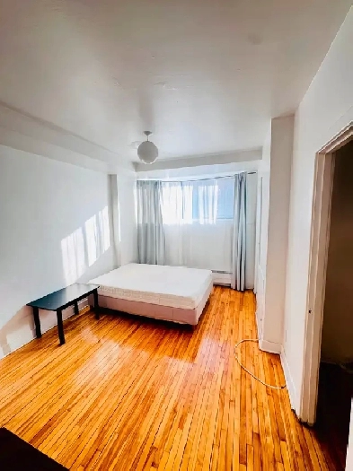 Studio Plateau Mont Royal very close subway station Laurier Image# 1