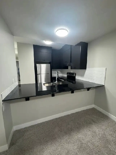 Brand New Legal Basement for Rent: 2 Bed 1 Bath Image# 1