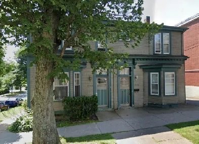 1 bedroom in shared house directly across from Dal Image# 5