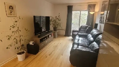 Longueuil Grand 4 1/2 2ième étage Sixplex Lumineux Octobre, Nov. Image# 1