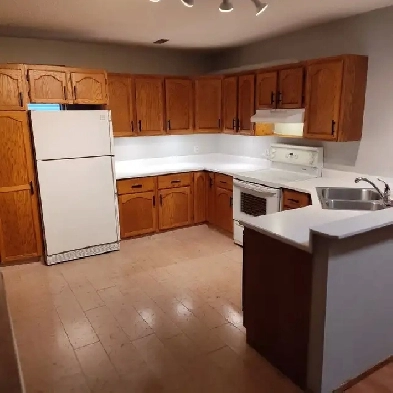 Safe Spacious Legal 1 Bedroom, Large Kitchen Bathroom No Pet Fee Image# 1