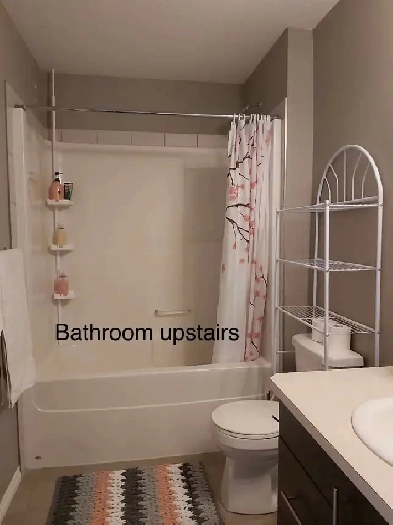 Furnished Townhouse for Rent in Sylvan Lake, Alberta Image# 1