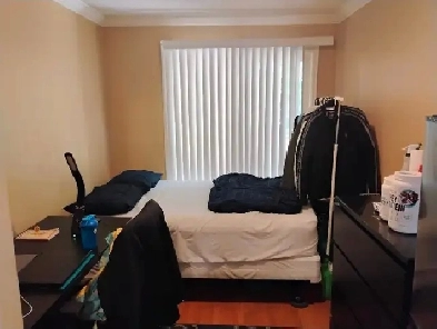 NOV1-Merivale/Meadowlands-15m/Algonq-30m/Carleton-Furn-VIDEO's Image# 1