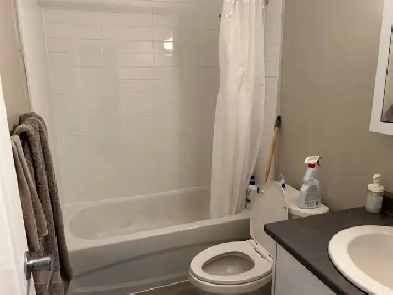 Mature roomate wanted to share a large one bedroom Image# 1