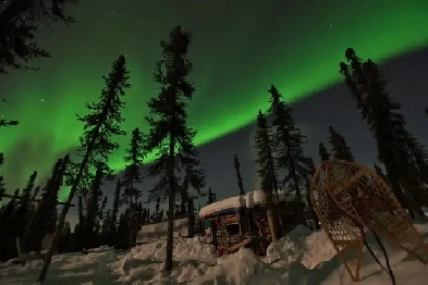 RTC104 for sale Image# 1