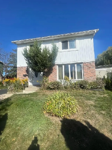 Entire basement for rent $1,100 a month!  1 bedroom Image# 1