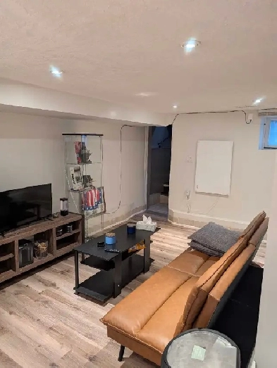 one bedroom basement apartment Image# 1