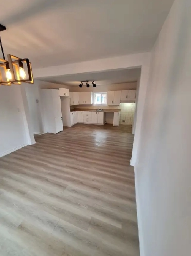 logement a louer Image# 1