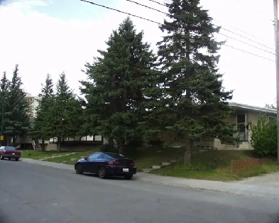 Roommate-1 Bedroom Lower Level Close to LRT UofC Shopping Malls Image# 1