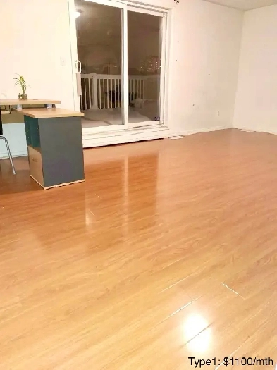 Spacious Rooms avail York Uni Seneca College The Village area Image# 1