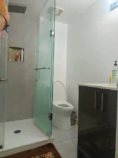 3 bedroom 2 washroom legal basement Image# 1