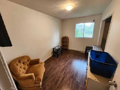 Rooms available in Whitehorn now Image# 1