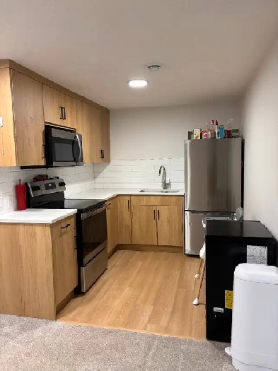 2 bedroom basement suite Image# 1