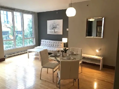 Superbe condo 31/2 meublé et tranquille- Vx Mtl Image# 1