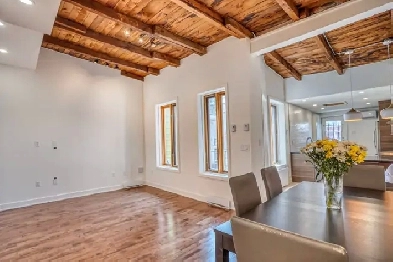 Grand 4 ½ lumineux rénové – Plateau Montréal (Rue Rivard) Image# 1