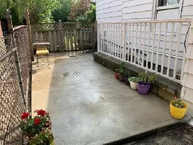 Modern 1 bed   1 bath basement apt Image# 1