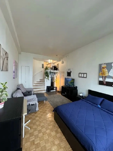 Fully furnished studio - Downtown - October/November Image# 1