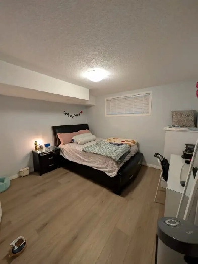 1 & 2 beds legal basement suites for rent in Taradale & Skyview Image# 1