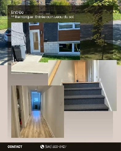 Condo  moderne à louer - Animaux acceptés Image# 1