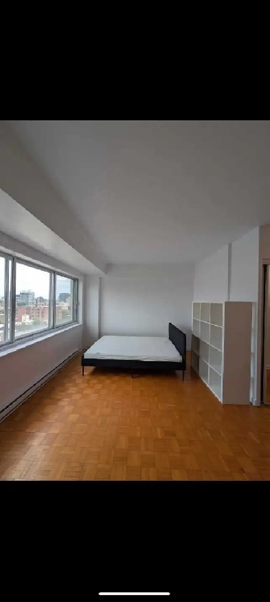 Fully Furnished Studio Near McGill Image# 1