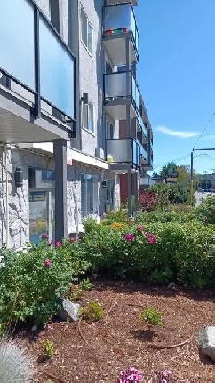 Bright 1-Bedroom – Dog Friendly! Image# 2