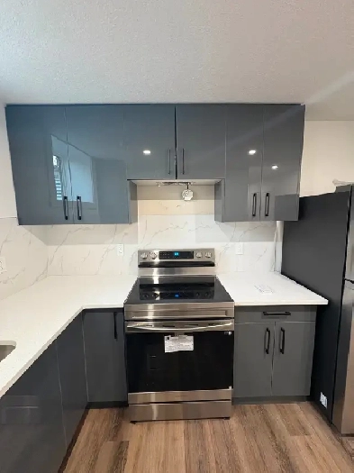 Legal Basement Suite For Rent Image# 1