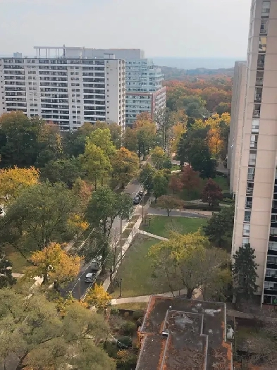 Room Available - High Park/Bloor West Village Image# 1