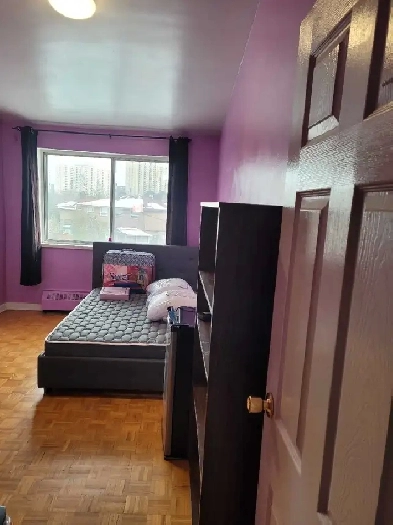 1 room for rent Kippling and Dixon area Image# 1