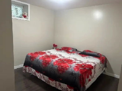 one bedroom for rent in basement Image# 1