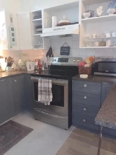 4 et demi meublé près métro Cadillac Image# 1